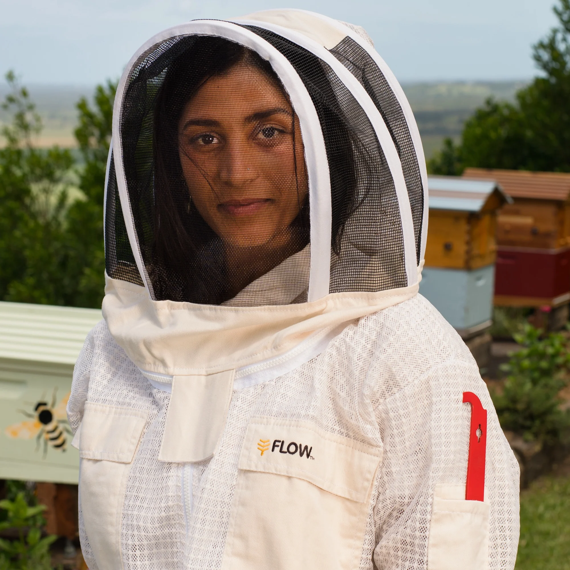 On Sale and Specials