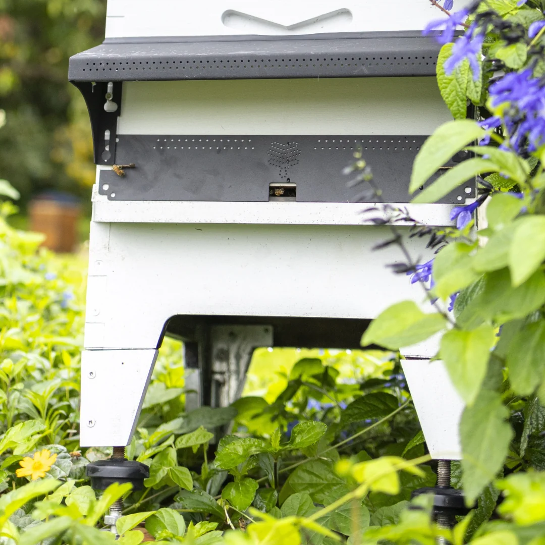 Flow Entrance Reducer - Image 3