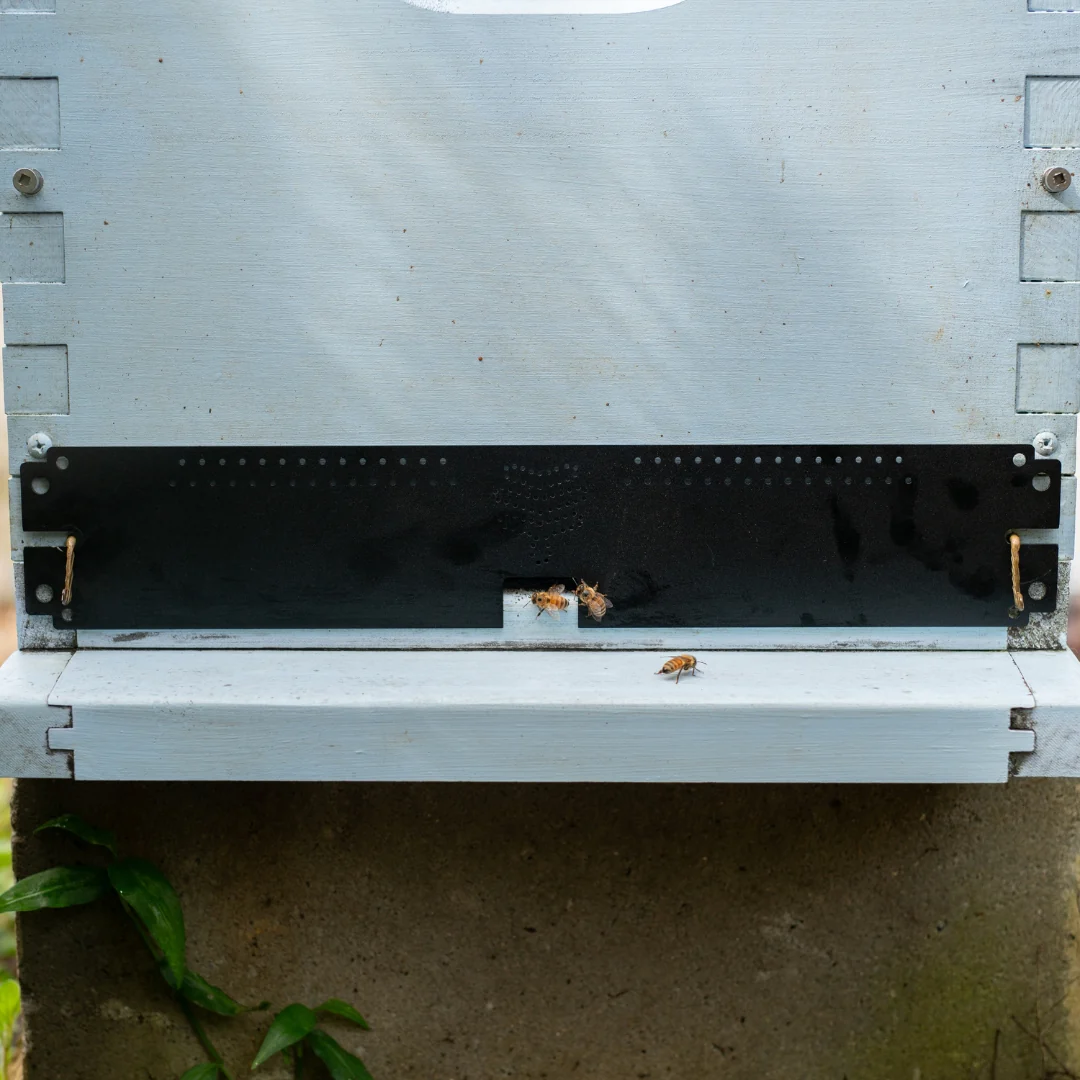 Flow Entrance Reducer - Image 4