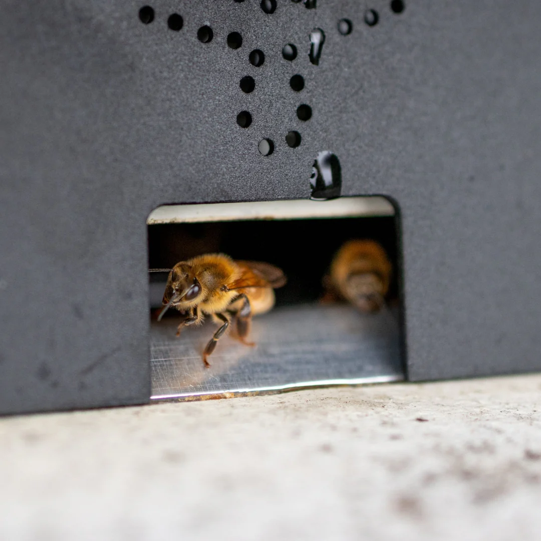 Flow Entrance Reducer - Image 6