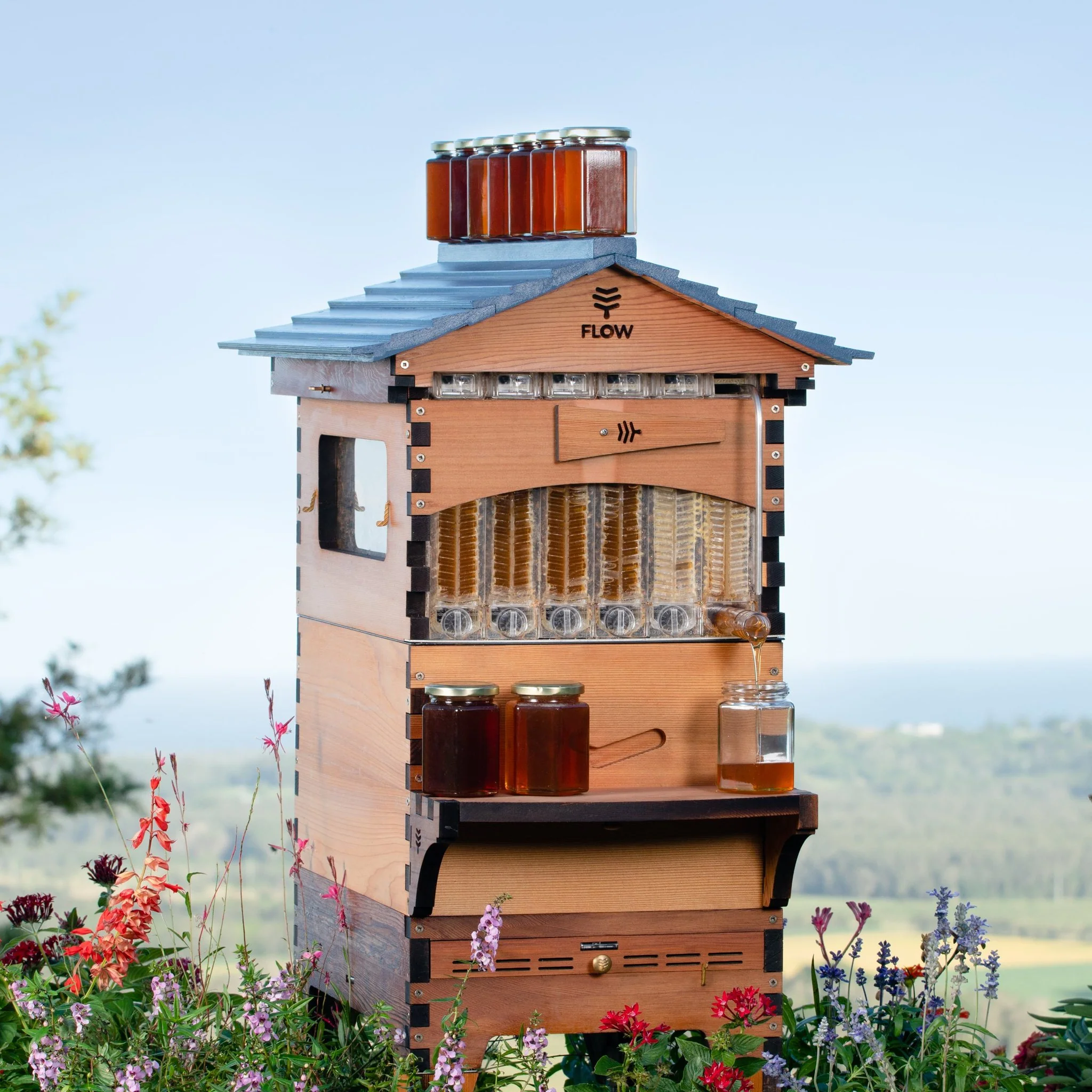 Flow Frames - Image 10