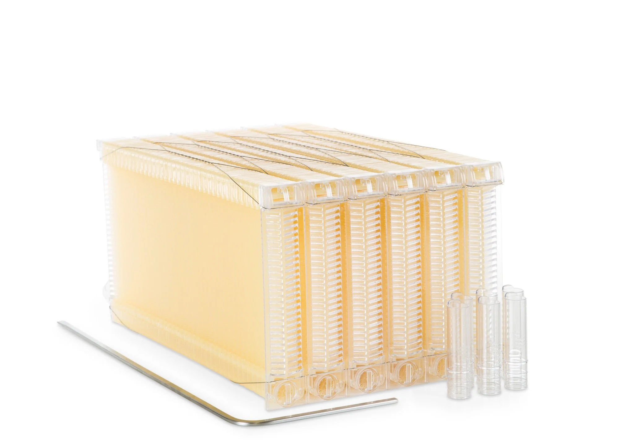 Flow Frames - Image 3