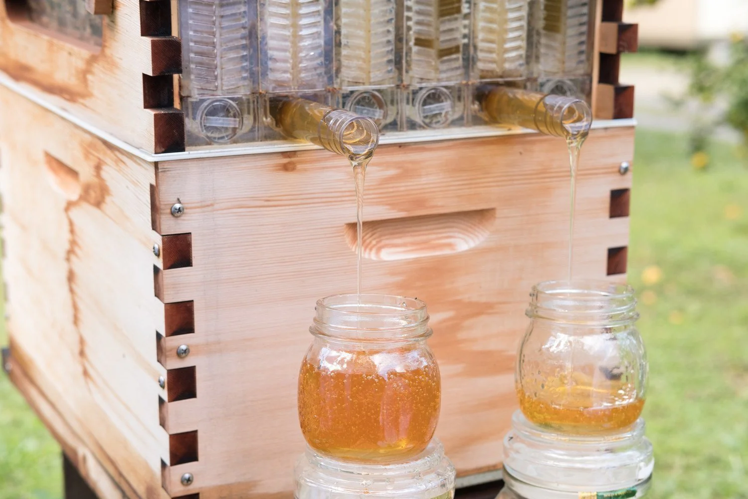 Flow Frames - Image 5