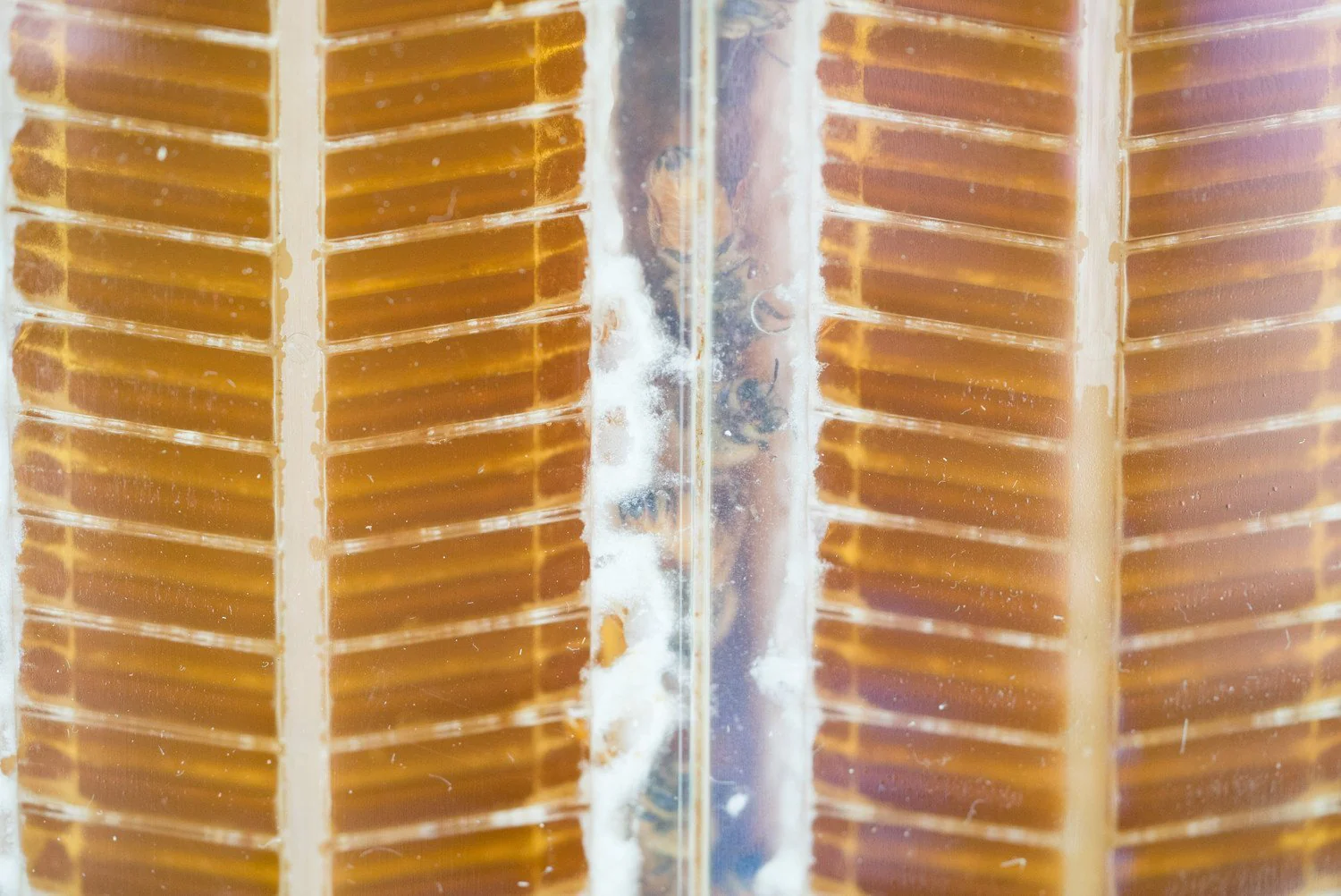 Flow Frames - Image 7