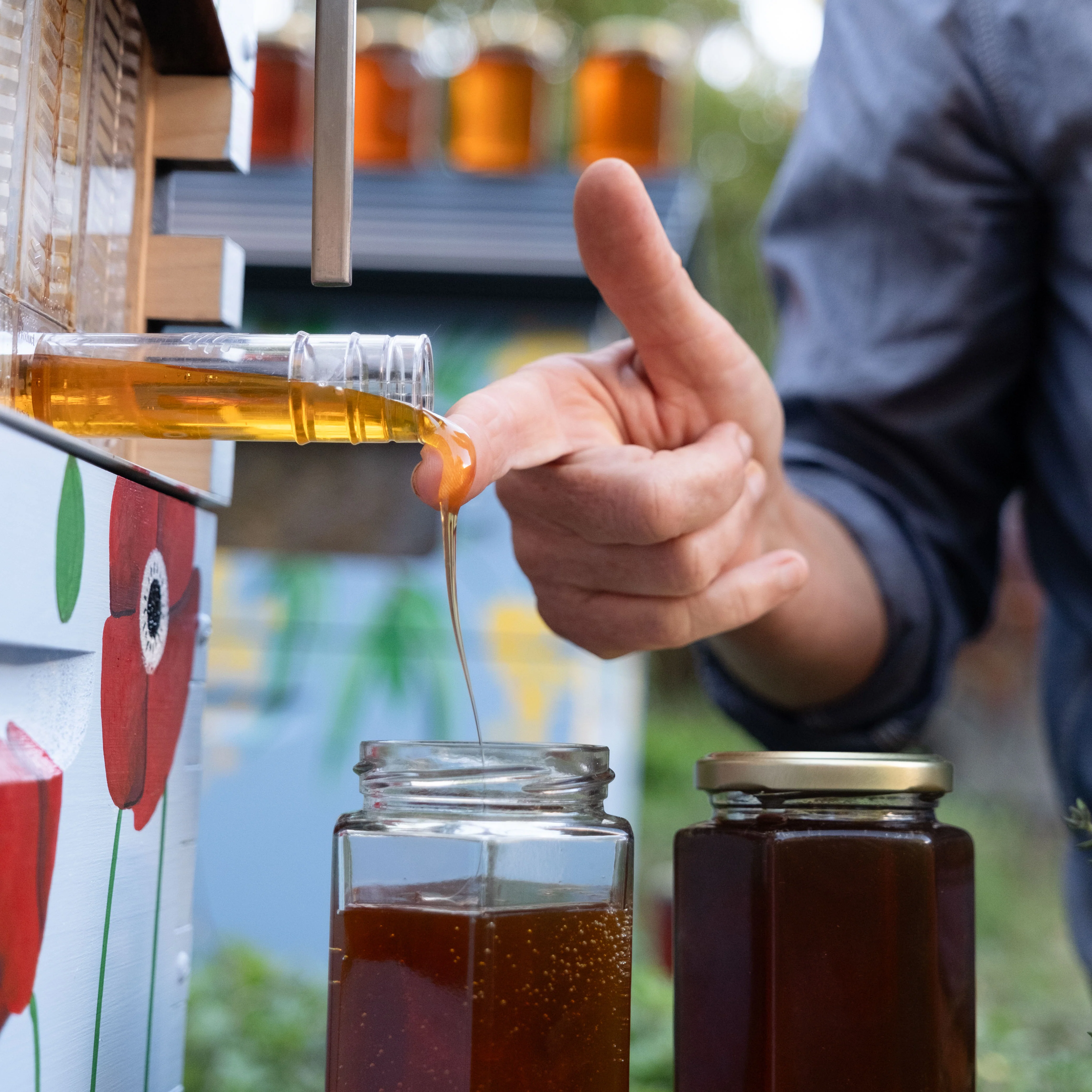 Flow Hive Classic - Image 3