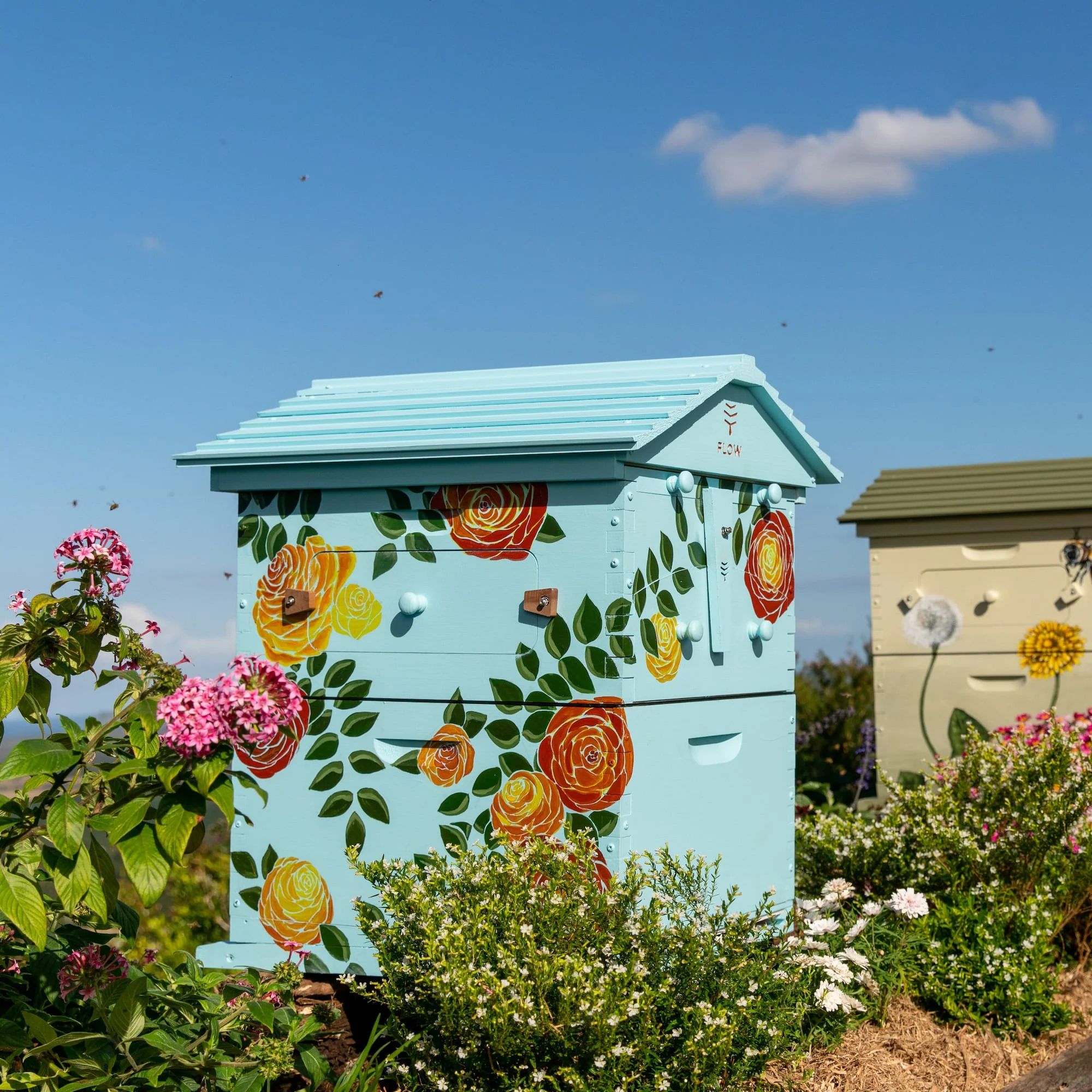 Flow Hive Classic - Image 7