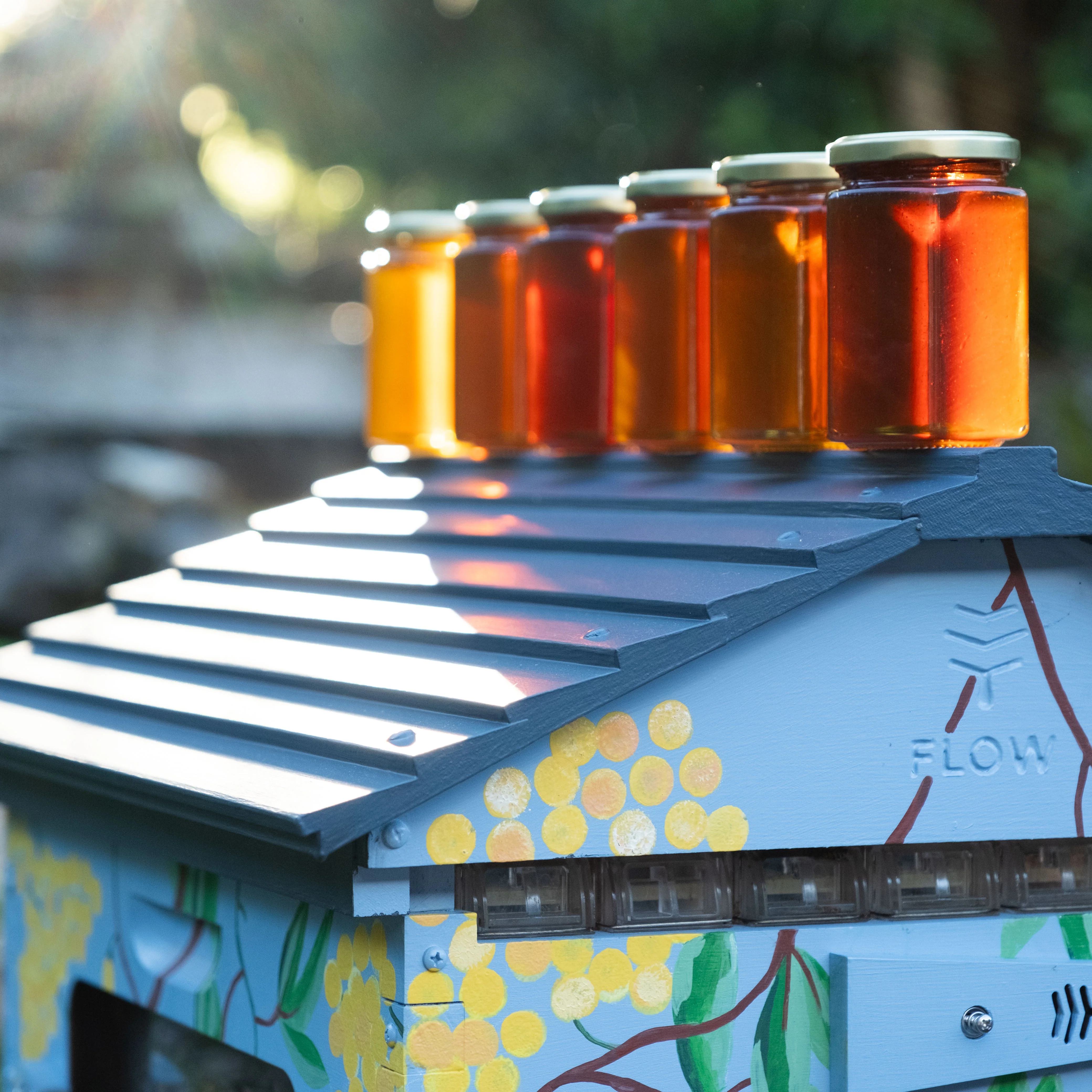 Flow Hive Classic - Image 9