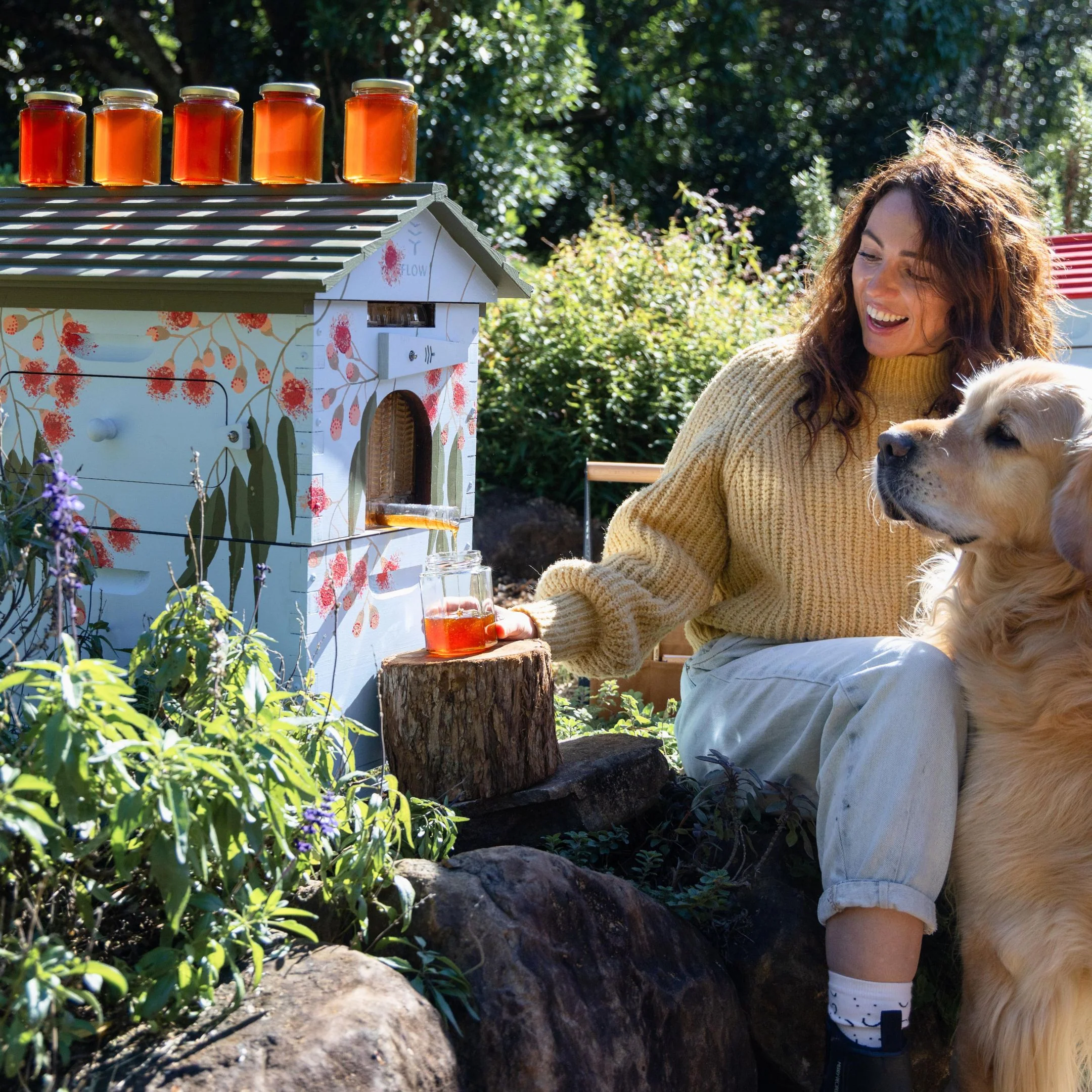 Flow Hive Hybrid - Image 5