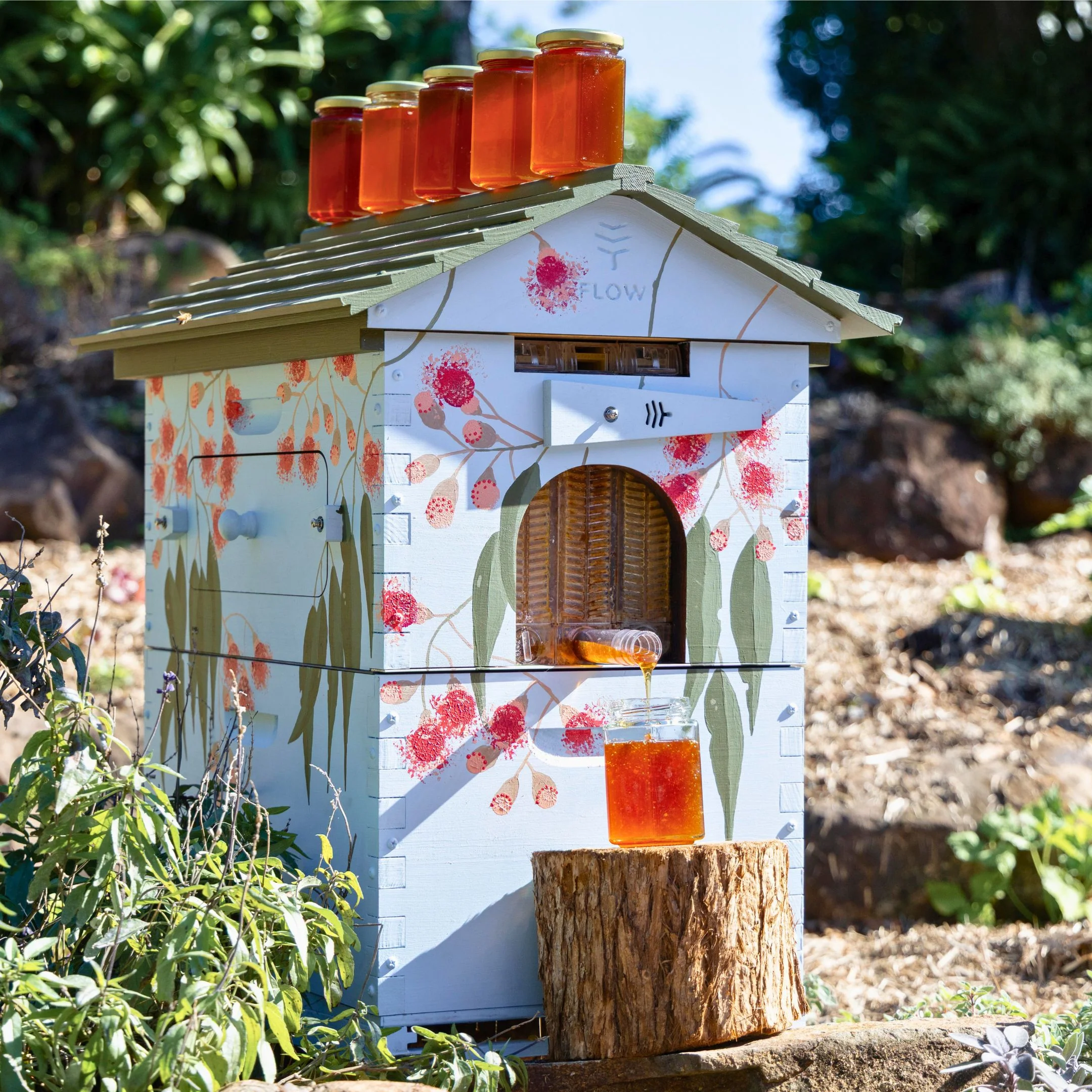 Flow Hive Hybrid - Image 6