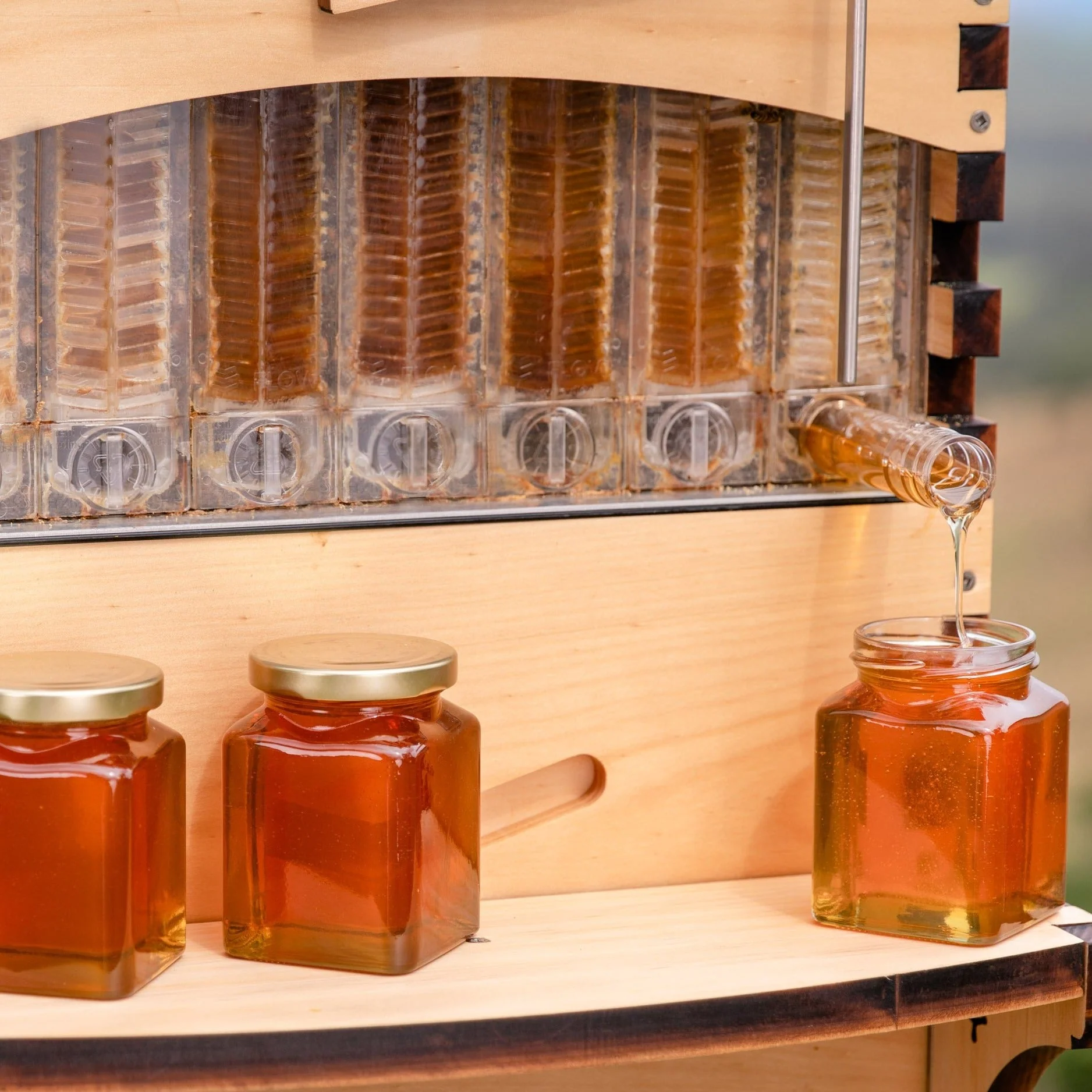 Flow Super – Flow Hive 2+ - Image 6