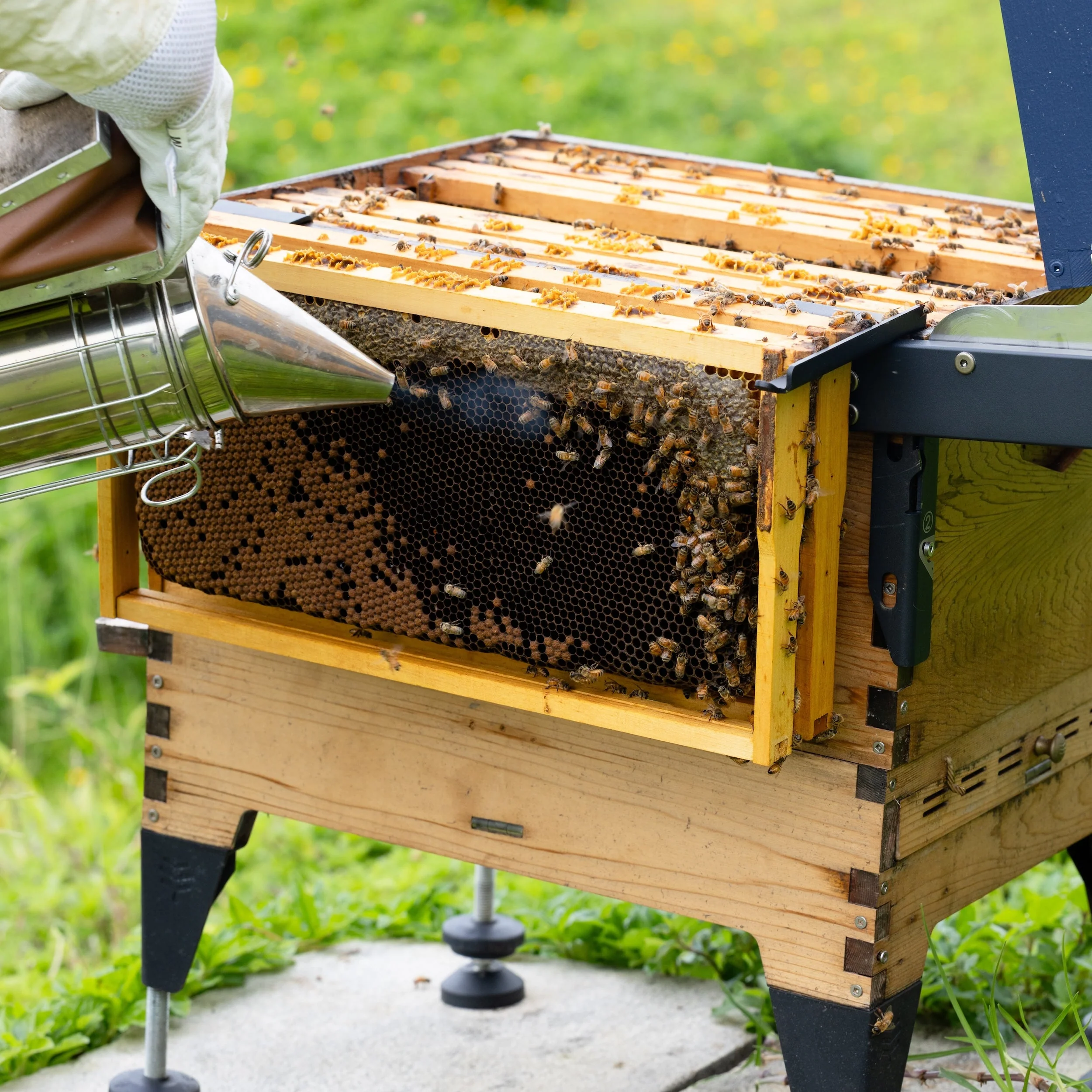 Flow Inspection Frame Rests - Image 7