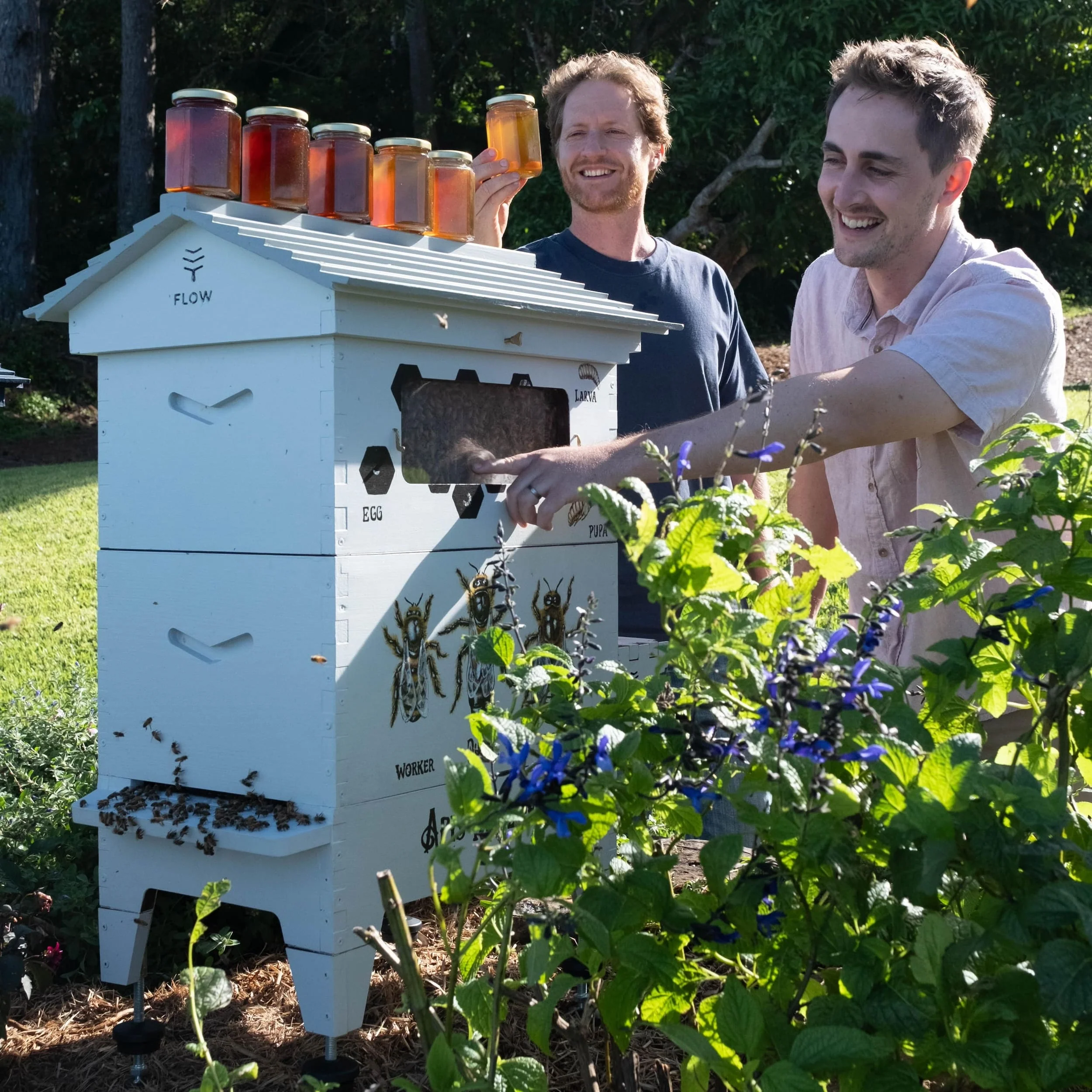 Starter Bundle - Image 3