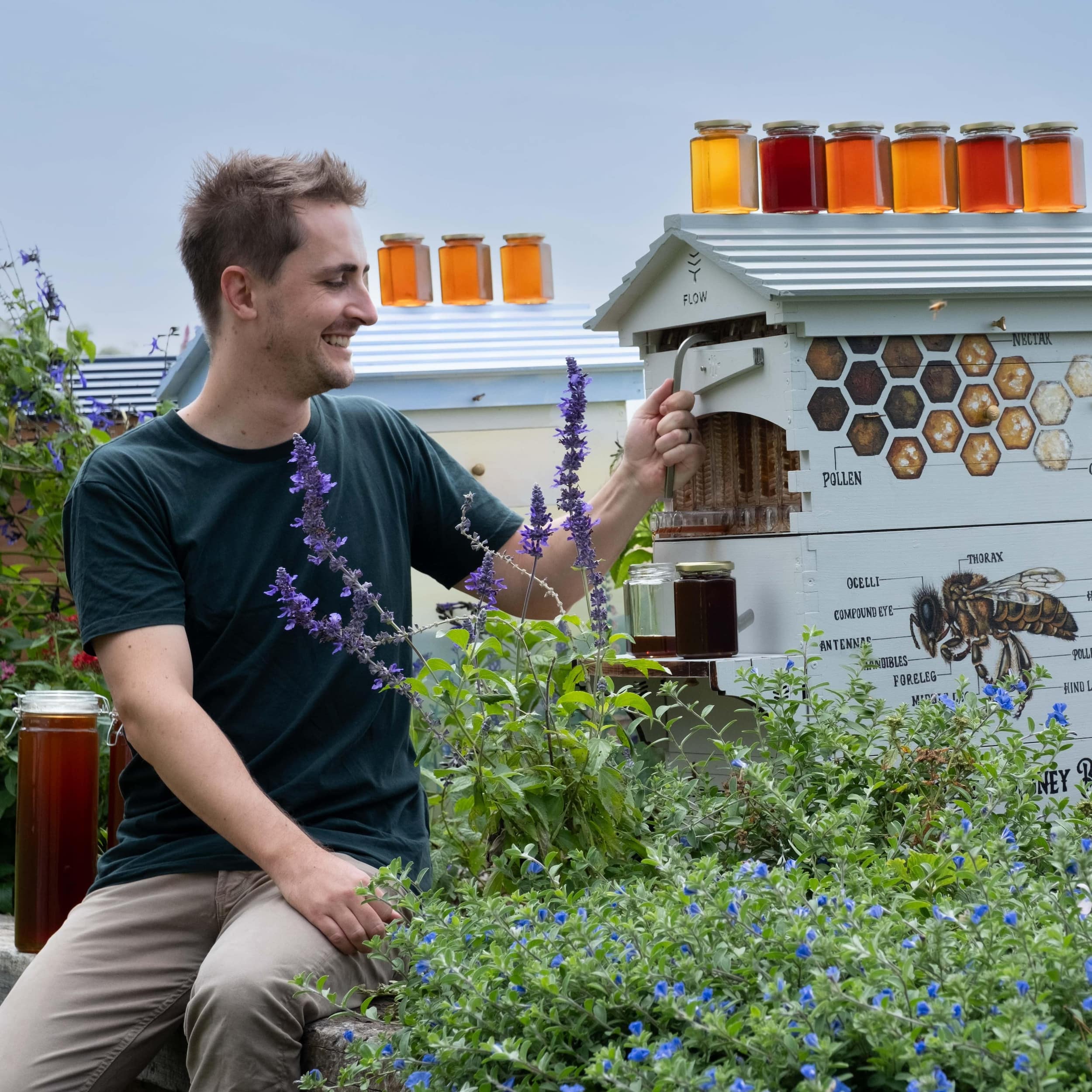 Starter Bundle - Image 5